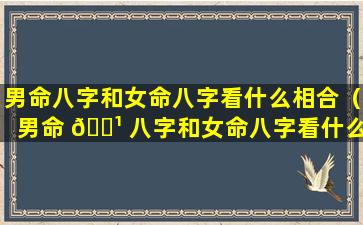 男命八字和女命八字看什么相合（男命 🌹 八字和女命八字看什么相 🐬 合好）